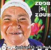 2005 - Boonika Bate Doba [Single] - Zdob si Zdub - 2005
